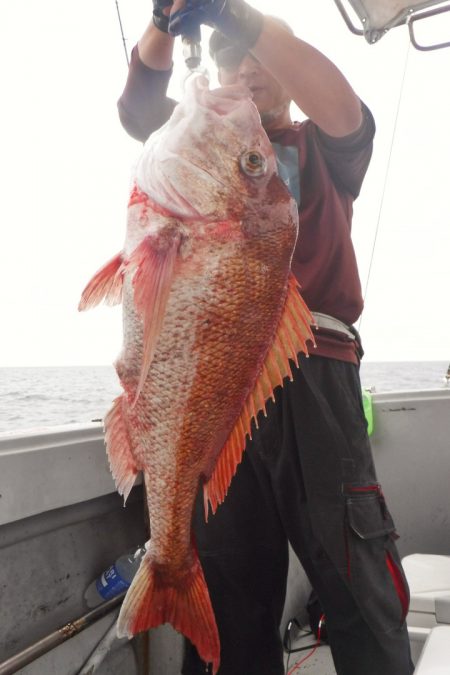 ブルースフィッシングサービス 釣果