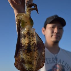 渡船屋たにぐち 釣果
