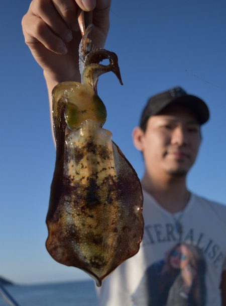 渡船屋たにぐち 釣果