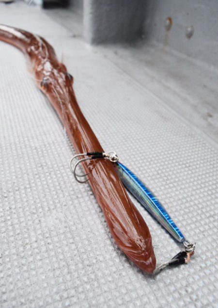 渡船屋たにぐち 釣果