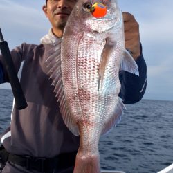 渡船屋たにぐち 釣果