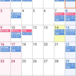 遊漁船 家入 釣果