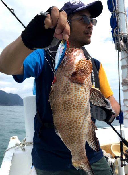 渡船屋たにぐち 釣果