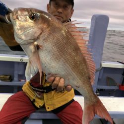 新幸丸 釣果