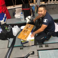 ＴＡＲＯＭＡＲＵ 釣果