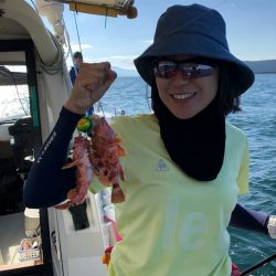 末広丸(熊本) 釣果