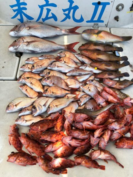 末広丸(熊本) 釣果