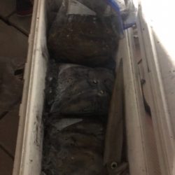 遊漁船メテオ 釣果