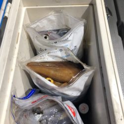 遊漁船メテオ 釣果