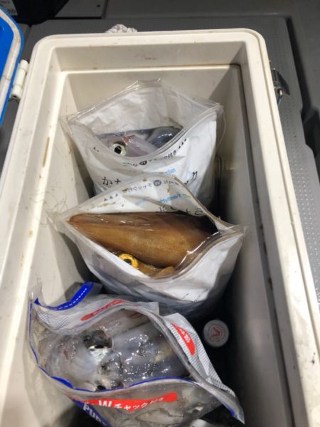 遊漁船メテオ 釣果