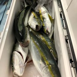 第二八坂丸 釣果