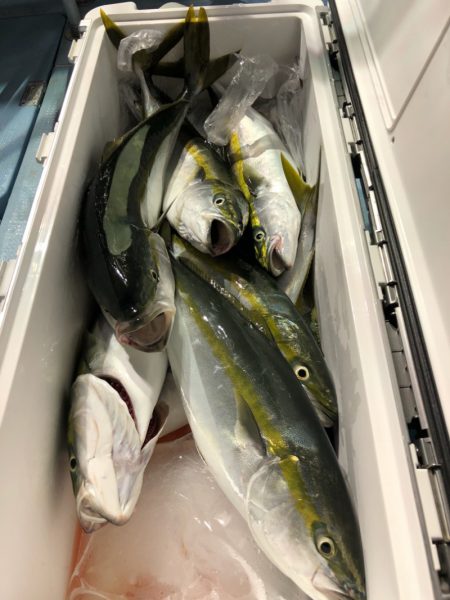 第二八坂丸 釣果