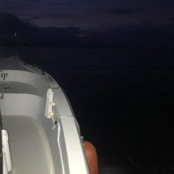 龍神丸（鹿児島） 釣果