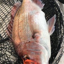 龍神丸（鹿児島） 釣果