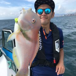 龍神丸（鹿児島） 釣果