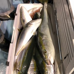 第二八坂丸 釣果