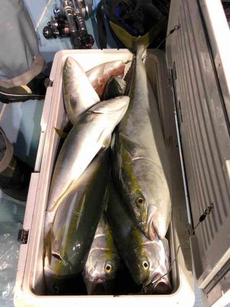 第二八坂丸 釣果