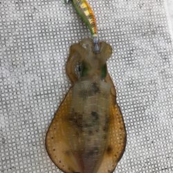 あみや渡船 JIGBOY 釣果