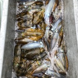 あみや渡船 JIGBOY 釣果