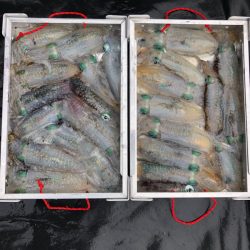 あみや渡船 JIGBOY 釣果