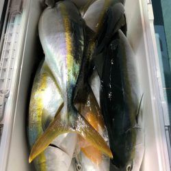 第二八坂丸 釣果