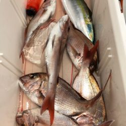 第二八坂丸 釣果