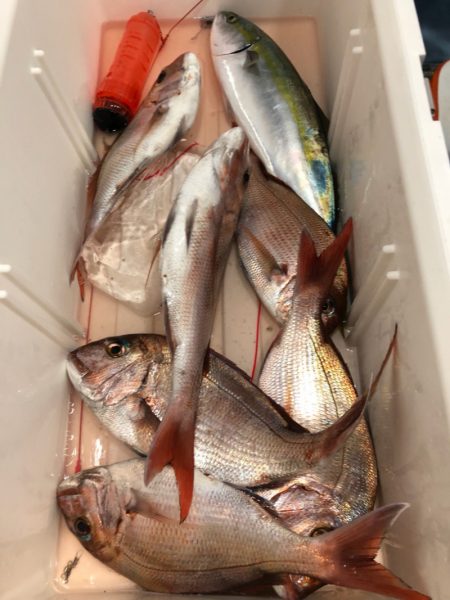 第二八坂丸 釣果