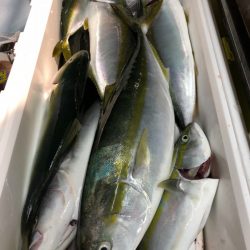 第二八坂丸 釣果