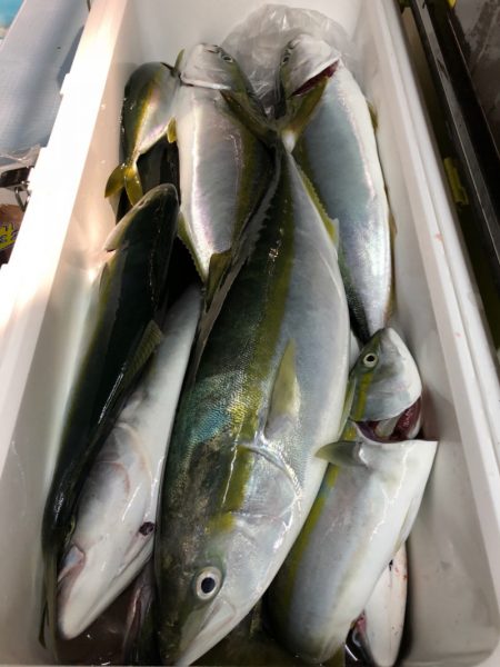 第二八坂丸 釣果