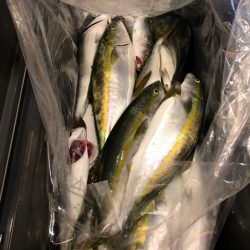 第二八坂丸 釣果