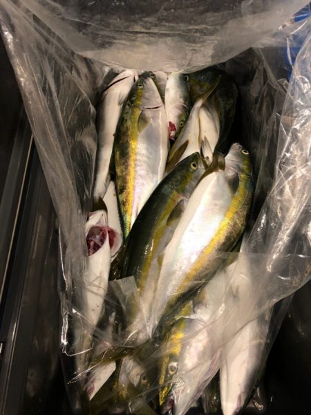 第二八坂丸 釣果