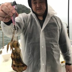 遊漁船メテオ 釣果