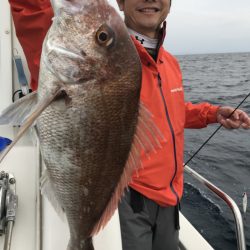 アマテラス 釣果