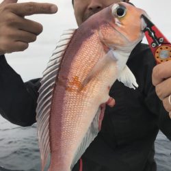 アマテラス 釣果