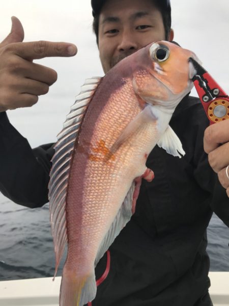 アマテラス 釣果