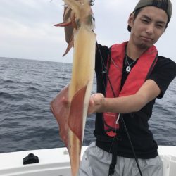 アマテラス 釣果