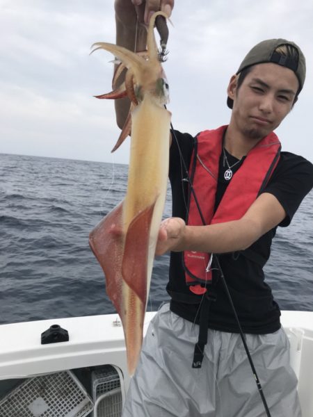 アマテラス 釣果