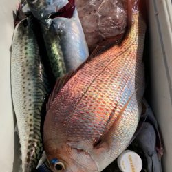 第二八坂丸 釣果