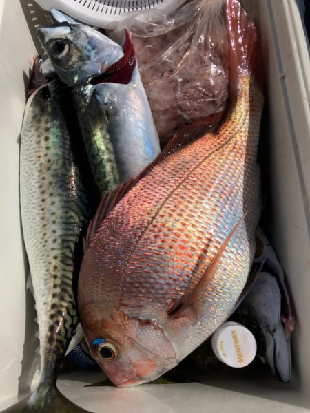 第二八坂丸 釣果