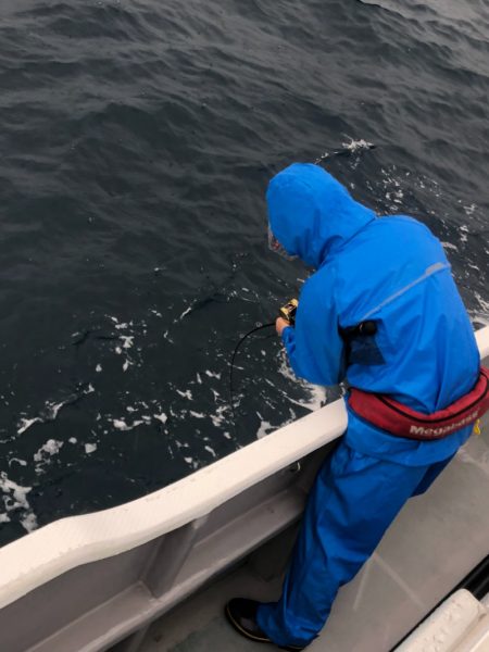 ＴＡＲＯＭＡＲＵ 釣果