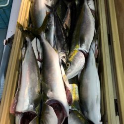 第二八坂丸 釣果