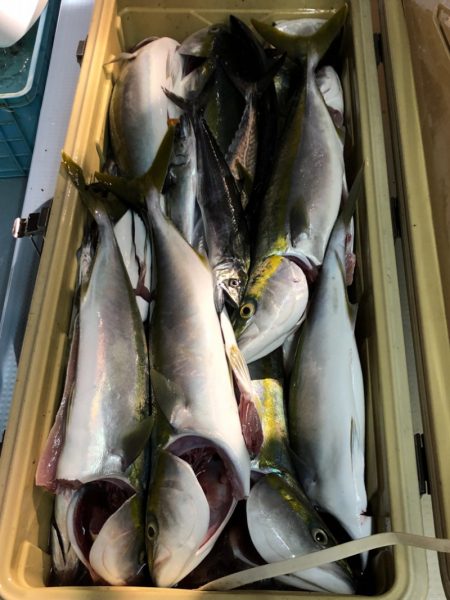 第二八坂丸 釣果