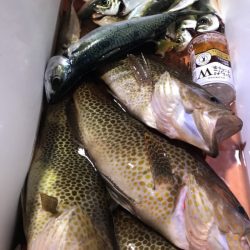 龍神丸(鹿児島) 釣果