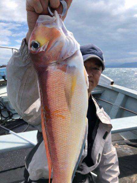 あみや渡船 JIGBOY 釣果