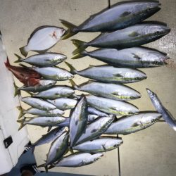 Monster Rush! 釣果