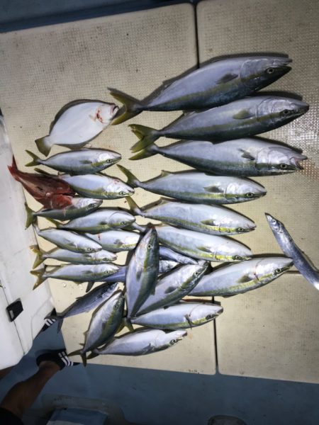 Monster Rush! 釣果