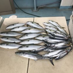 Monster Rush! 釣果