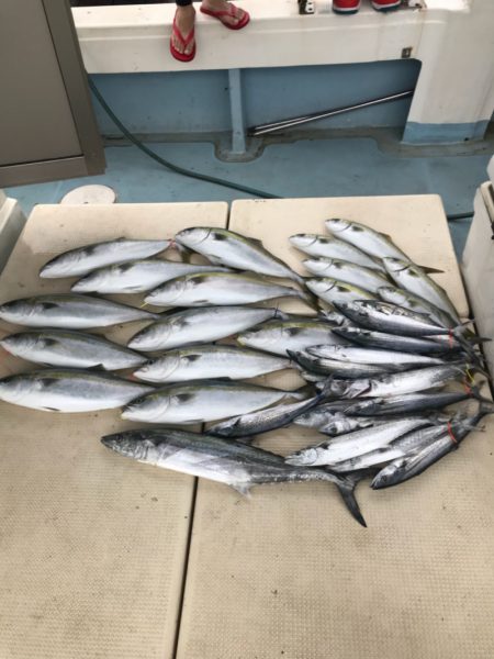 Monster Rush! 釣果