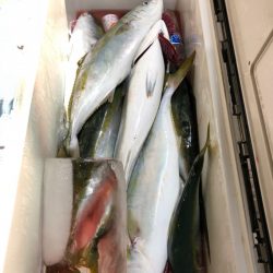 第二八坂丸 釣果