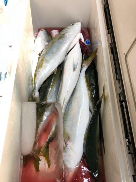 第二八坂丸 釣果